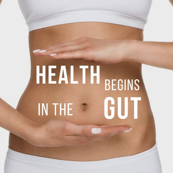 The Science Behind GutSoothe: Achieving Digestive Regularity